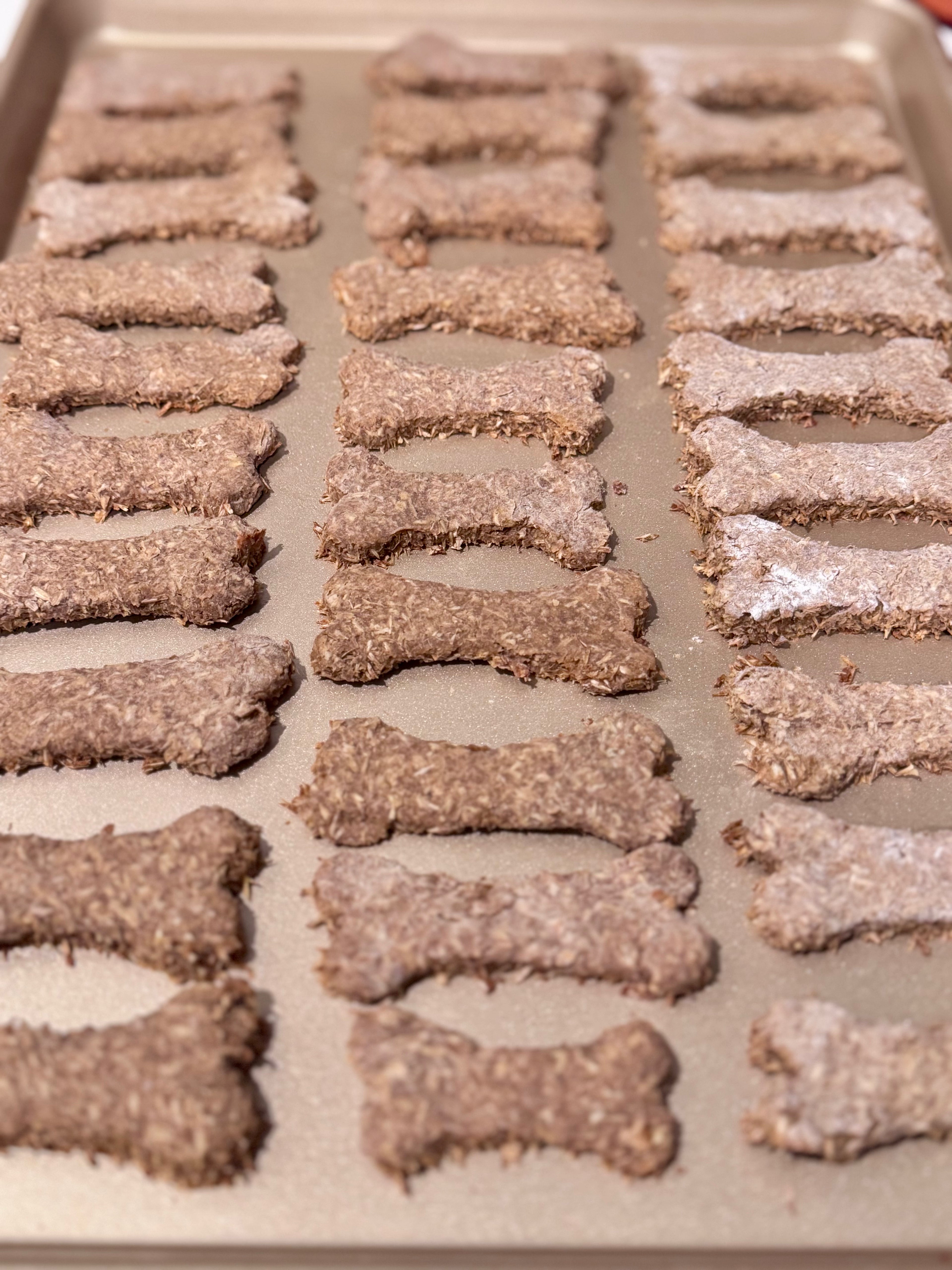 Spent Grain Dog Biscuits